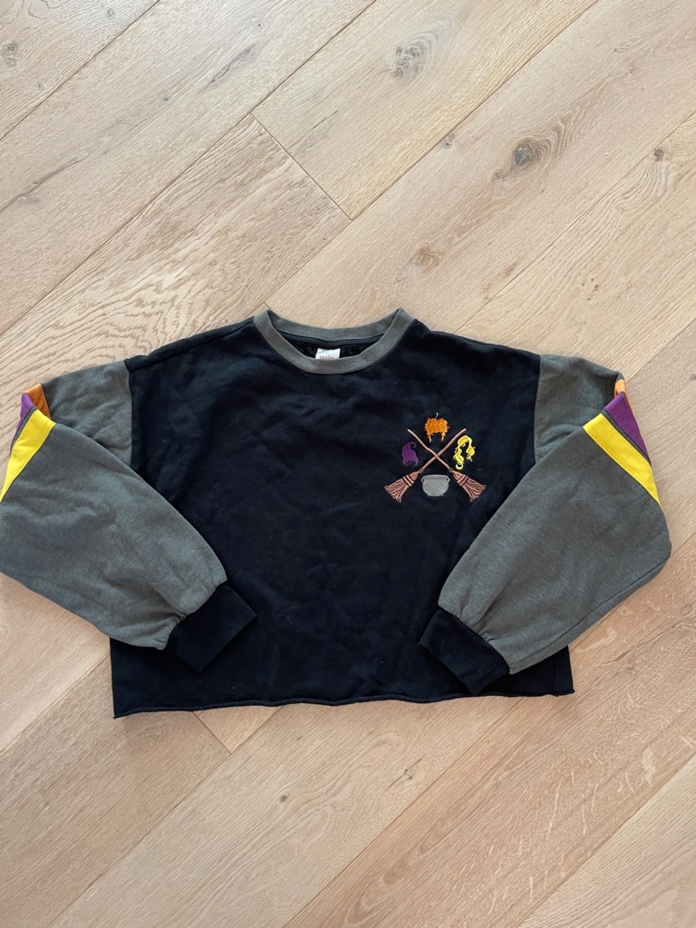 Disney HOCUS POCUS cropped sweatshirt size Large